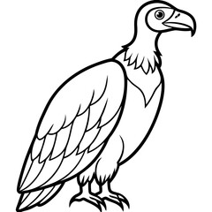 Condor in a Single Line Vector Art