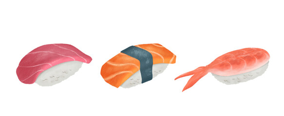Delicious of sushi illustration. Set of Sushi drawing realistic illustration isolated. Japanese food illustration hand drawn.  © ninimiou