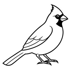 Elegant Cardinal Outline Vector Design