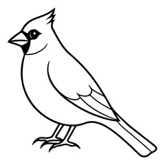 Elegant Cardinal Outline Vector Design