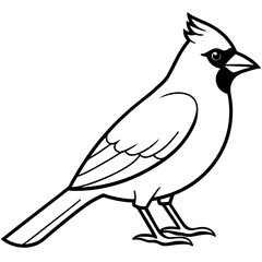 Elegant Cardinal Outline Vector Design