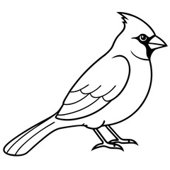 Elegant Cardinal Outline Vector Design