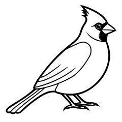 Elegant Cardinal Outline Vector Design