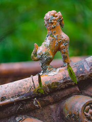  animal ornaments on house- ridges