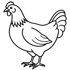Clean Chicken Line Art Design