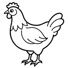 Fototapeta premium Clean Chicken Line Art Design