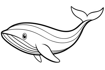 Modern Whale Art Vector