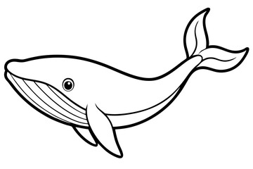 Modern Whale Art Vector