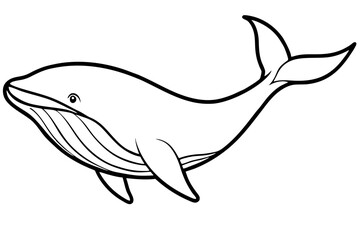 Modern Whale Art Vector