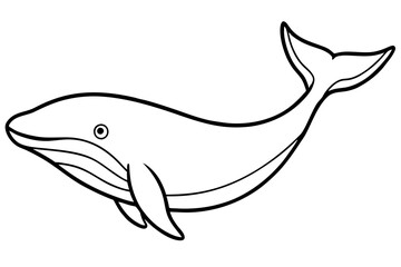 Modern Whale Art Vector
