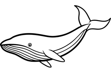 Modern Whale Art Vector