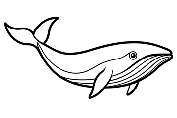 Modern Whale Art Vector