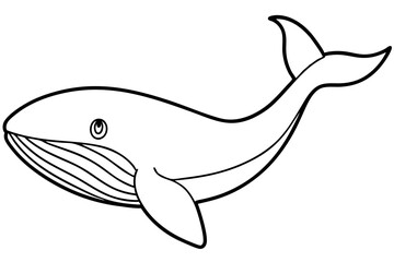 Modern Whale Art Vector