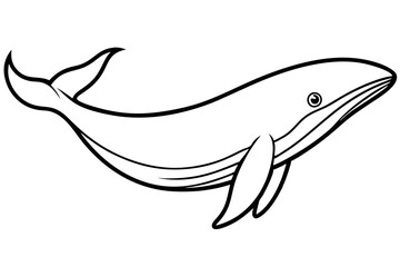 Modern Whale Art Vector