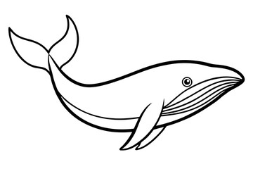 Modern Whale Art Vector