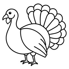 Clean Turkey Silhouette in Line Art