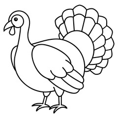 Clean Turkey Silhouette in Line Art
