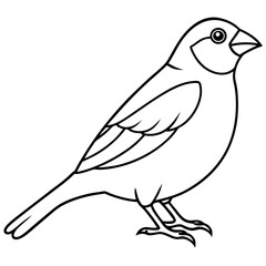 Elegant Finch One-Line Drawing