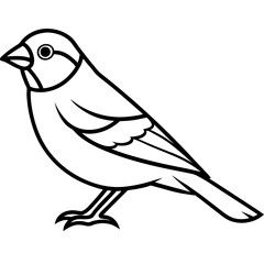 Elegant Finch One-Line Drawing