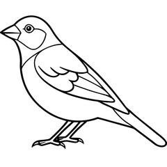 Elegant Finch One-Line Drawing