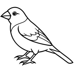 Elegant Finch One-Line Drawing