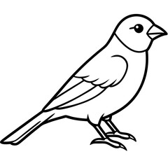 Elegant Finch One-Line Drawing
