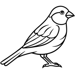 Elegant Finch One-Line Drawing