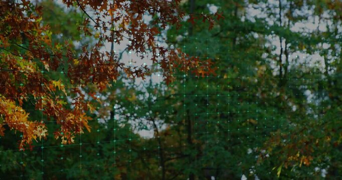 Autumn oak leaves glowing with ECG waveform overlay, moving over forest grid background flat design