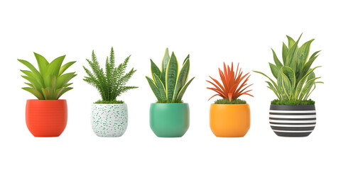 Fototapeta premium Potted Plants for Interior Decoration, Home Gardening, and Botanical Design Projects