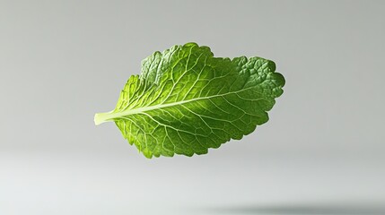 crisp herb leaf hovering mid-air, backlight highlighting veins, food in motion.