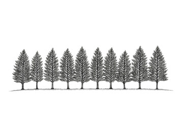 Obraz premium A Line of Tall Evergreen Trees Silhouetted Against a White Background Ideal for Nature Themes, Environmental Topics, and Seasonal Designs