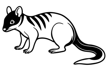 Quoll Outline Vector