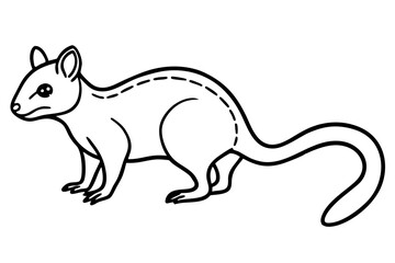 Quoll Outline Vector