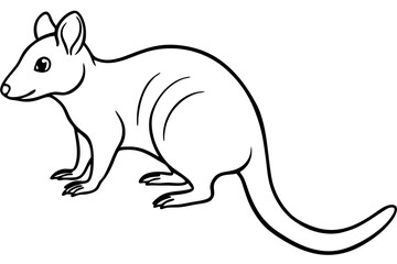 Quoll Outline Vector