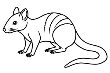 Quoll Outline Vector