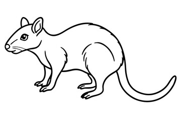 Quoll Outline Vector