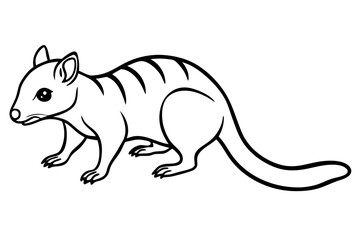 Quoll Outline Vector