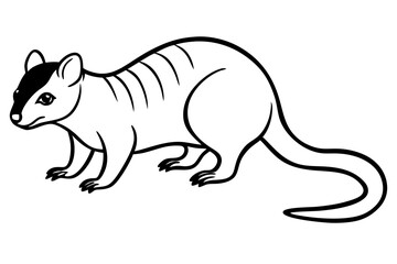 Quoll Outline Vector