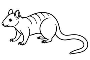 Quoll Outline Vector