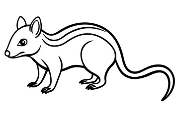 Quoll Outline Vector