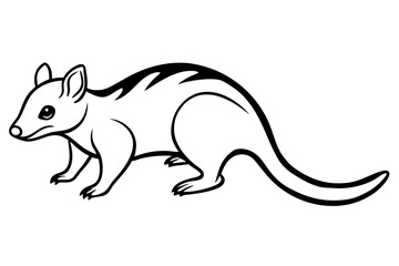Quoll Outline Vector