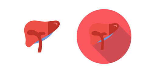 Liver Vector Icon