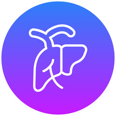 Liver Icon