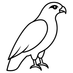 Elegant Hawk Silhouette in Line Art