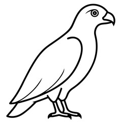 Elegant Hawk Silhouette in Line Art