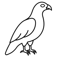 Fototapeta premium Elegant Hawk Silhouette in Line Art