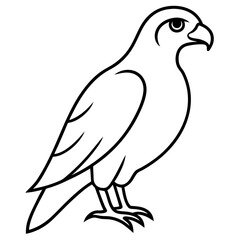 Elegant Hawk Silhouette in Line Art