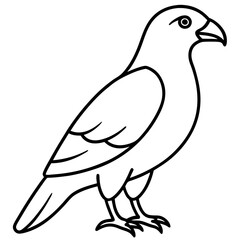 Elegant Hawk Silhouette in Line Art