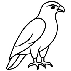 Elegant Hawk Silhouette in Line Art