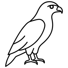 Elegant Hawk Silhouette in Line Art